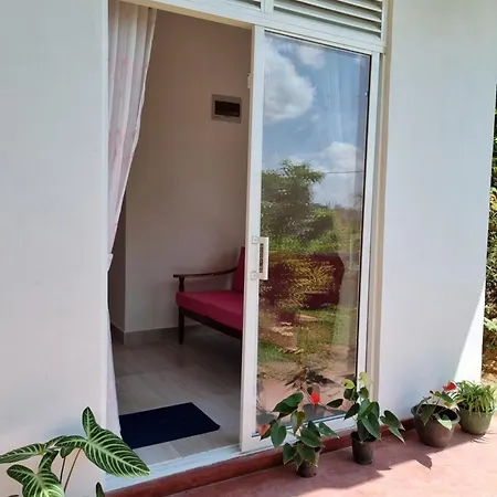 Squirrel'S Nest Hotel Kandy Exterior photo