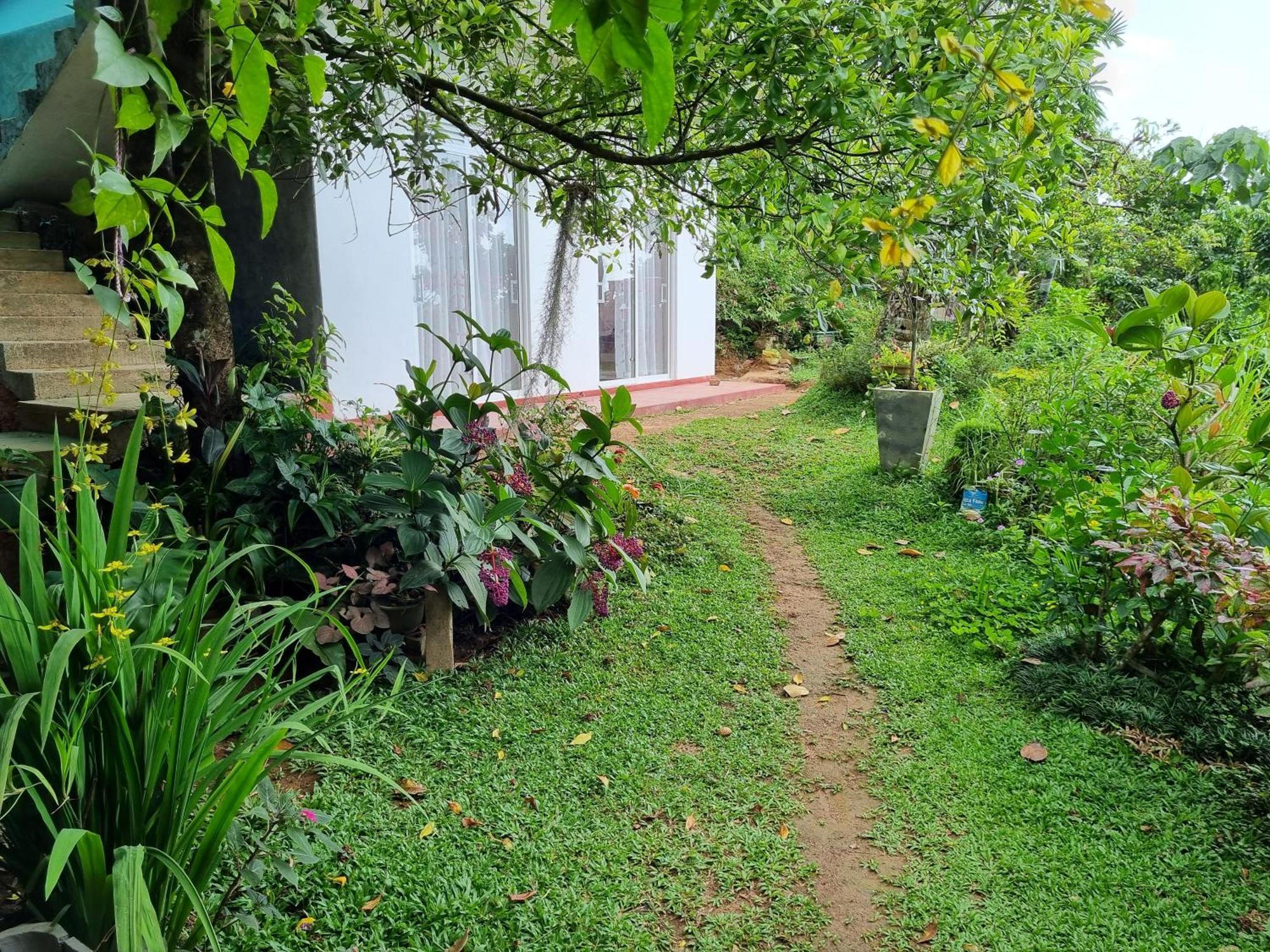 Squirrel's Nest Inn Kandy